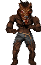 wolf2.png